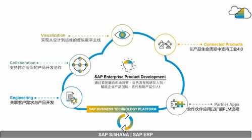 SAP供應鏈云三套產品落地中國，官方培訓課程助您操作無憂，管理高效